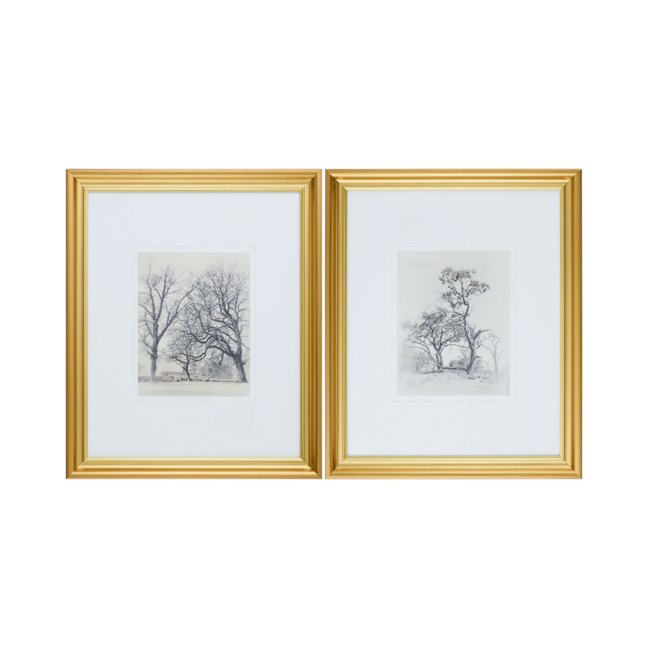 Forest Study Set