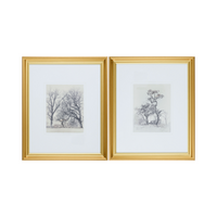 Forest Study Set