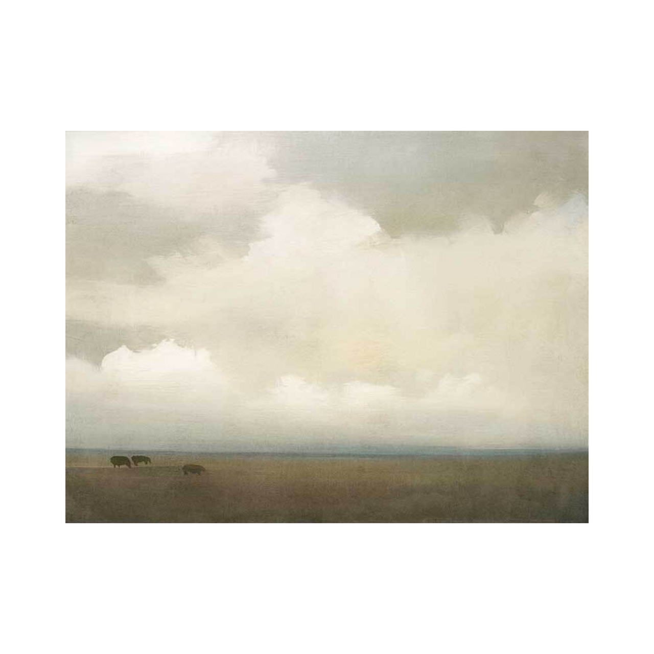 Rural Skies