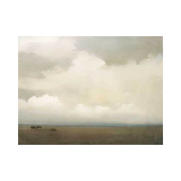 Rural Skies