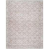 Aureta III Rug