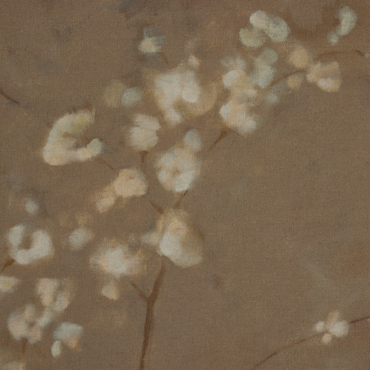 Sakura Artwork