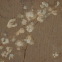 Sakura Artwork