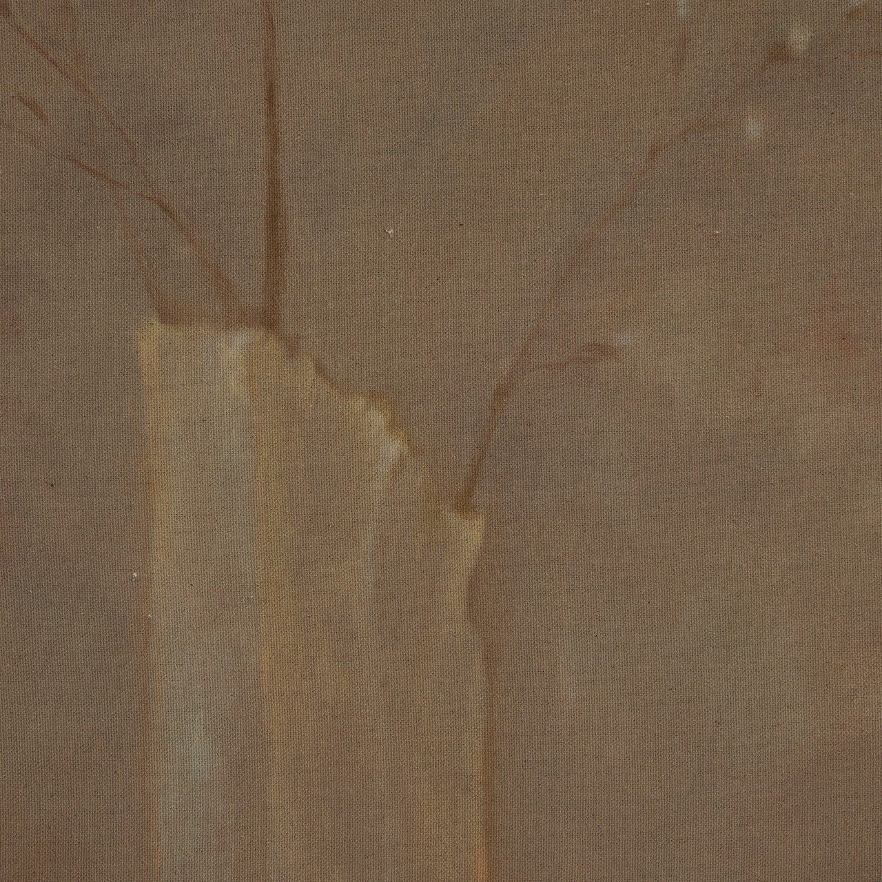 Sakura Artwork