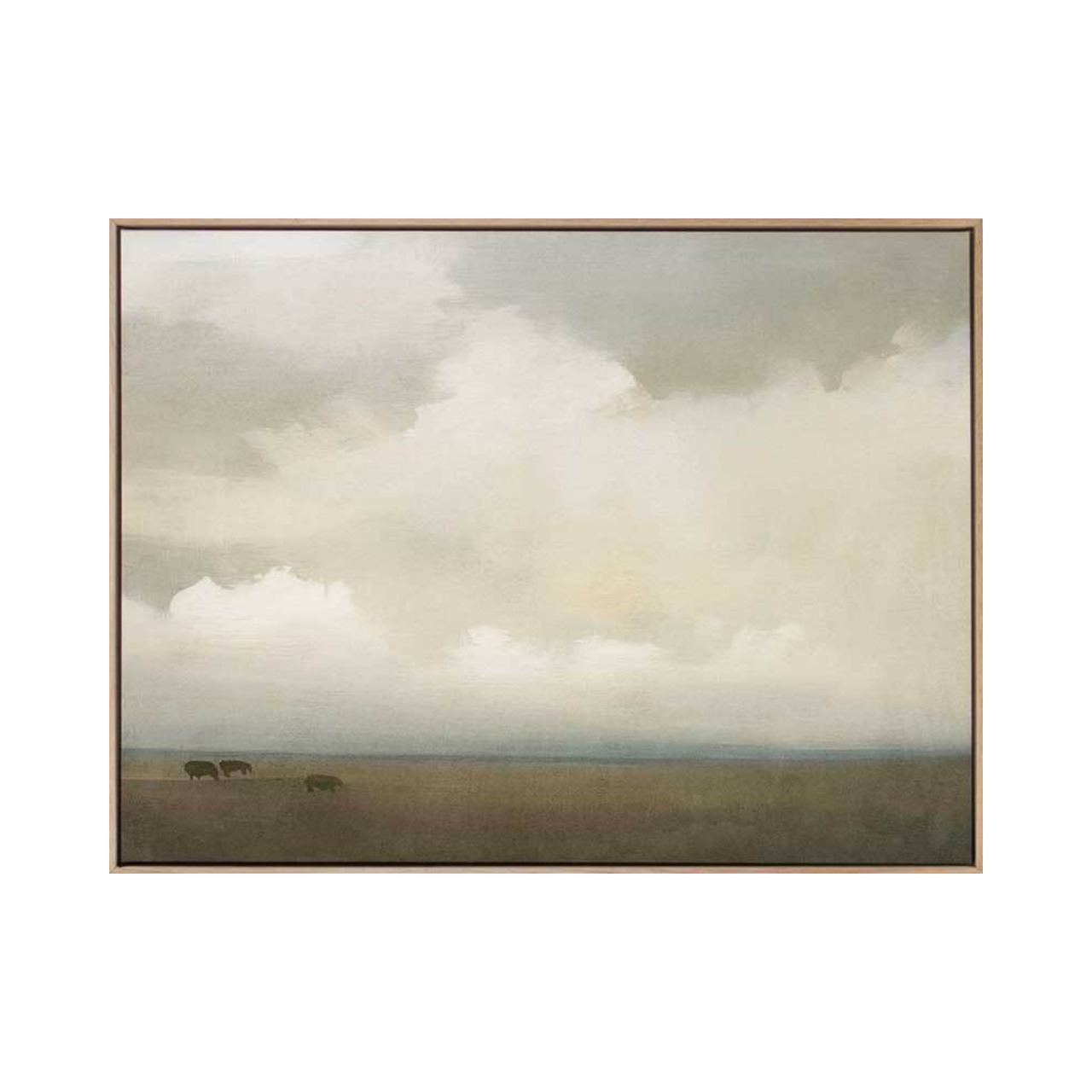 Rural Skies