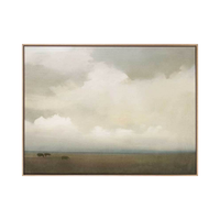Rural Skies