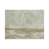 Stillscape