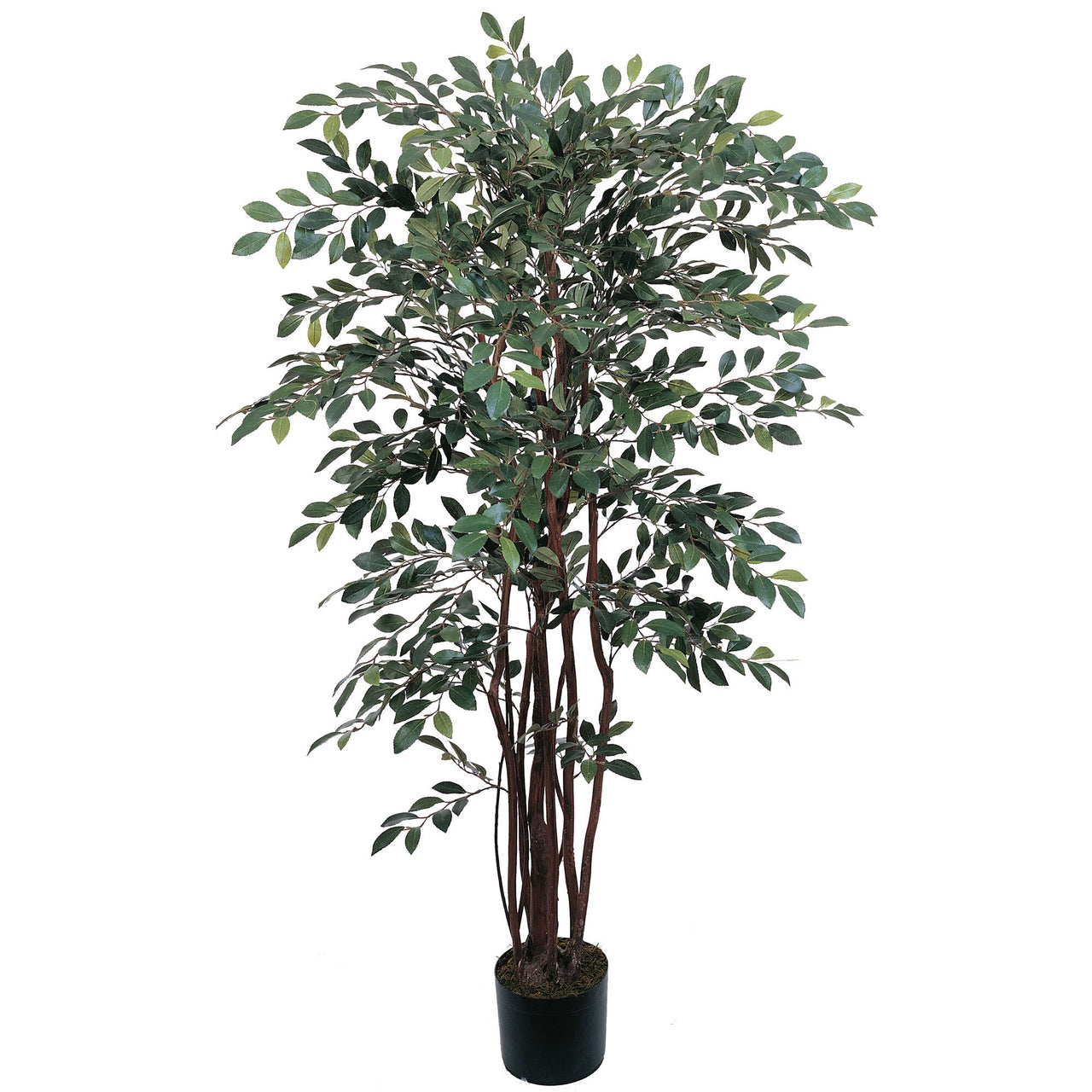 Faux Ruscus Tree