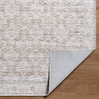 Aureta III Rug