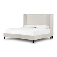 Shelly Bed