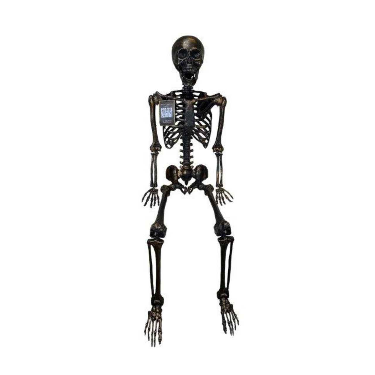 Lifesize Brass Skeleton