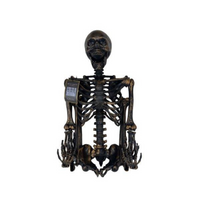 Lifesize Brass Skeleton
