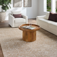 Penny IV Rug