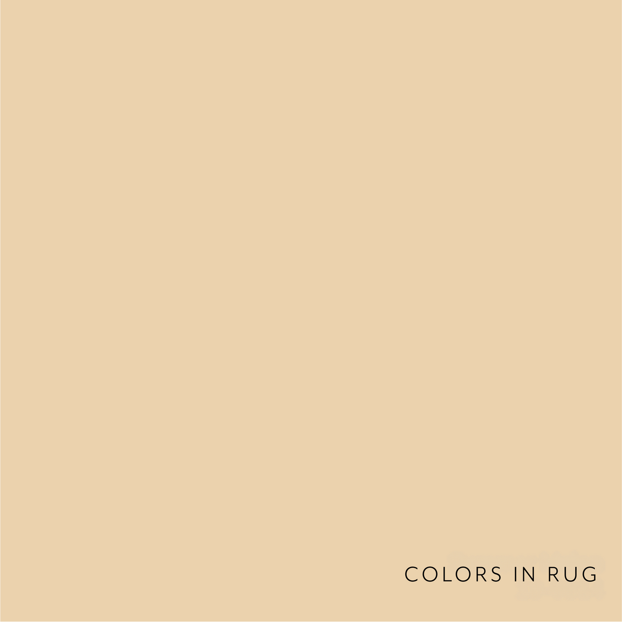 Kimi II Rug