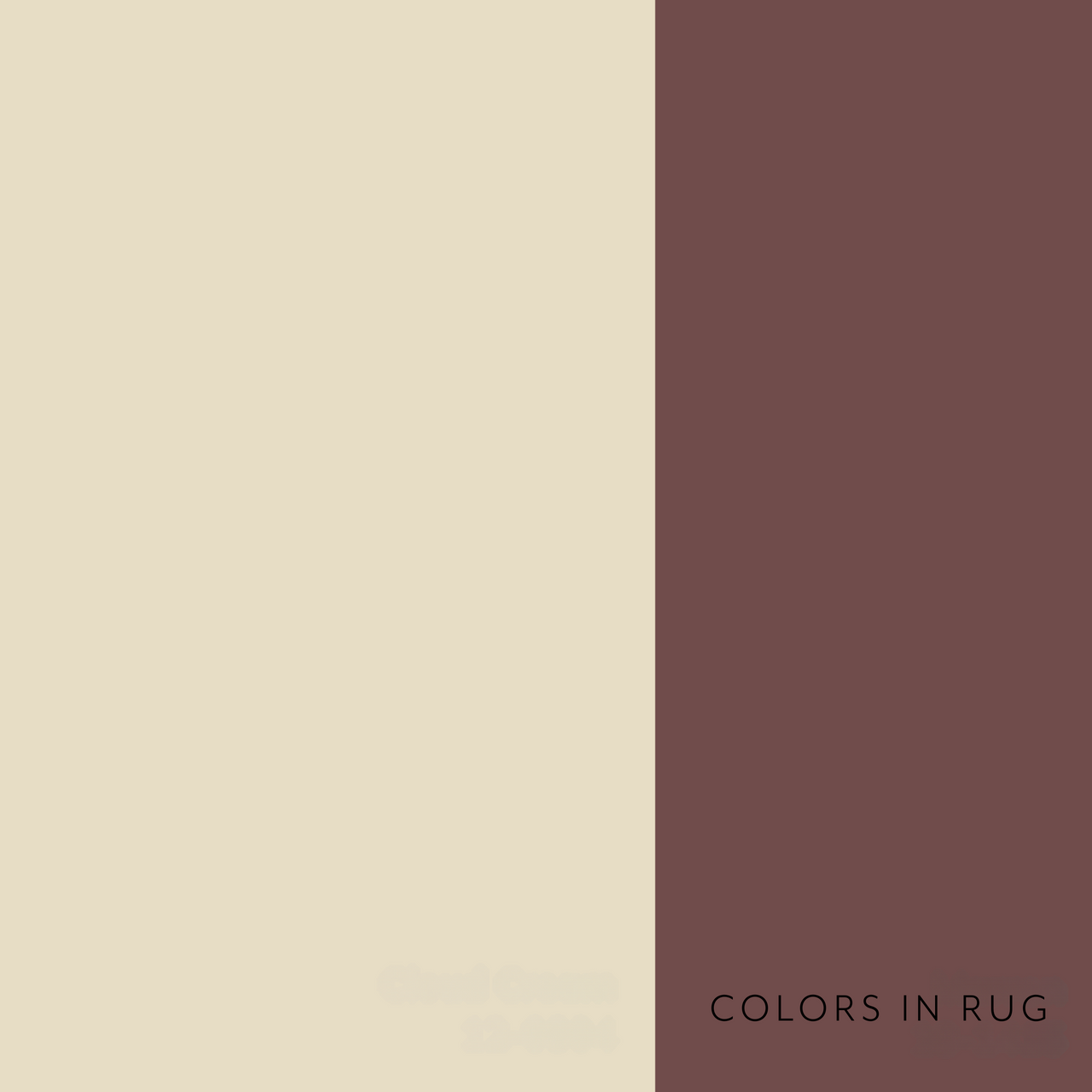 Rivi II Rug