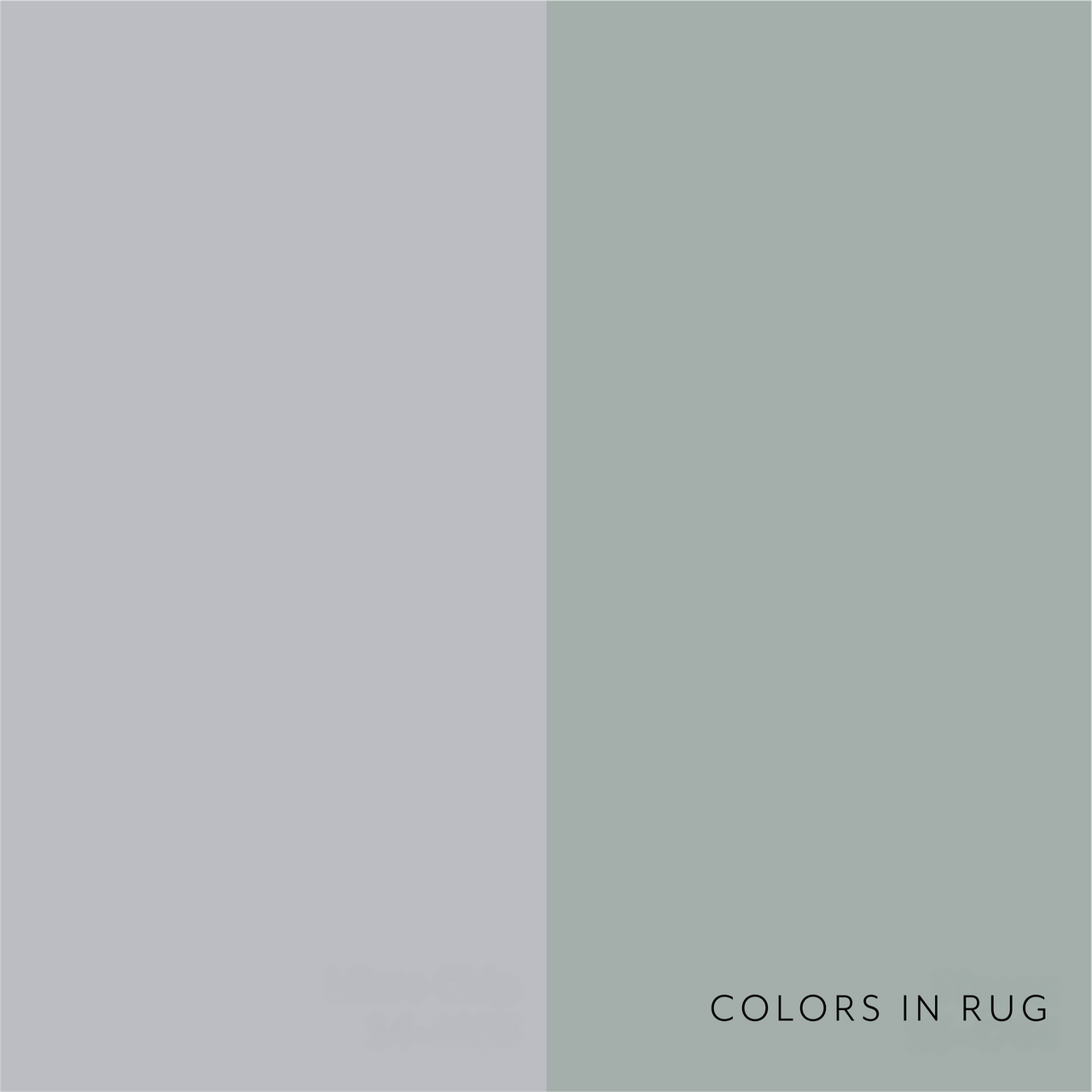 Birdie V Rug