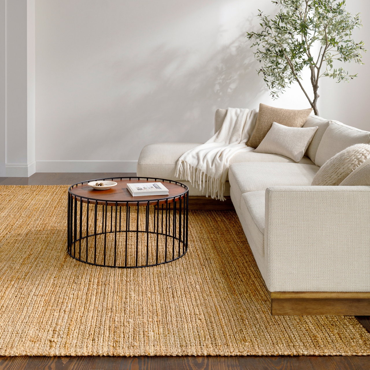 Calla Area Rugs Calla I Rug – Becki Owens Living