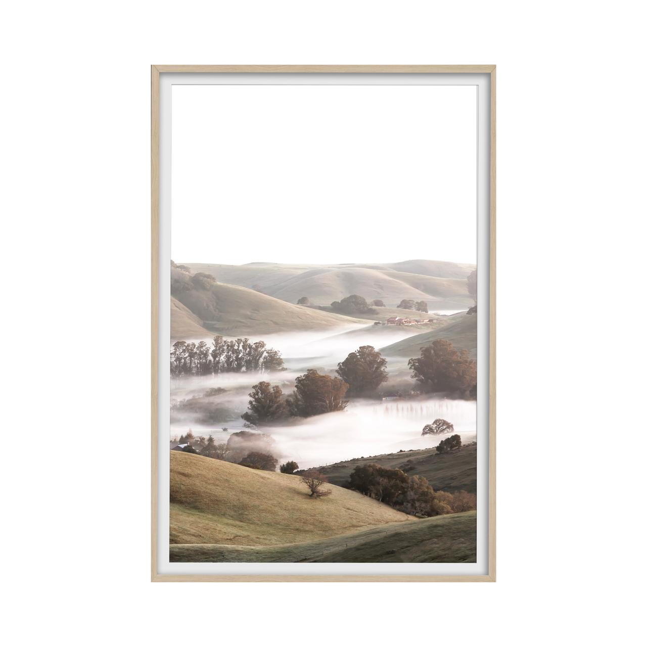 Foggy Hills Sonoma