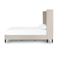 Shelly Bed