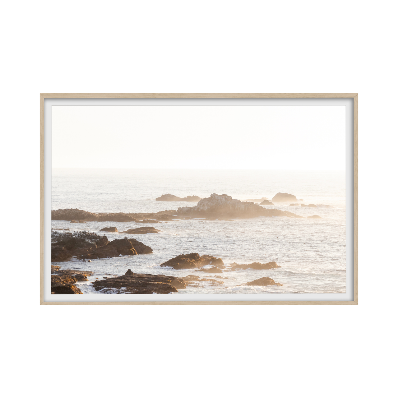 Oceanic Sunset