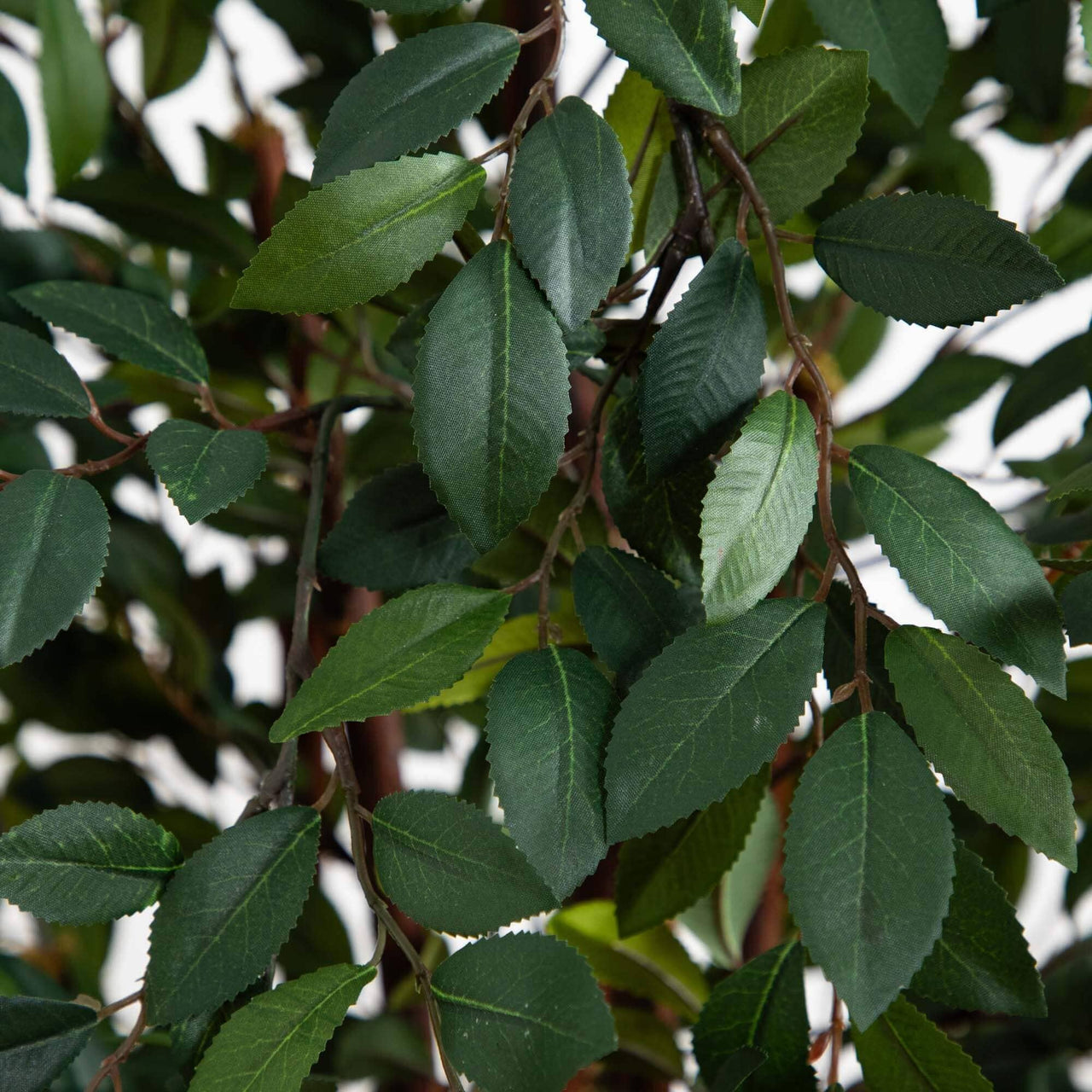 Faux Ruscus Tree