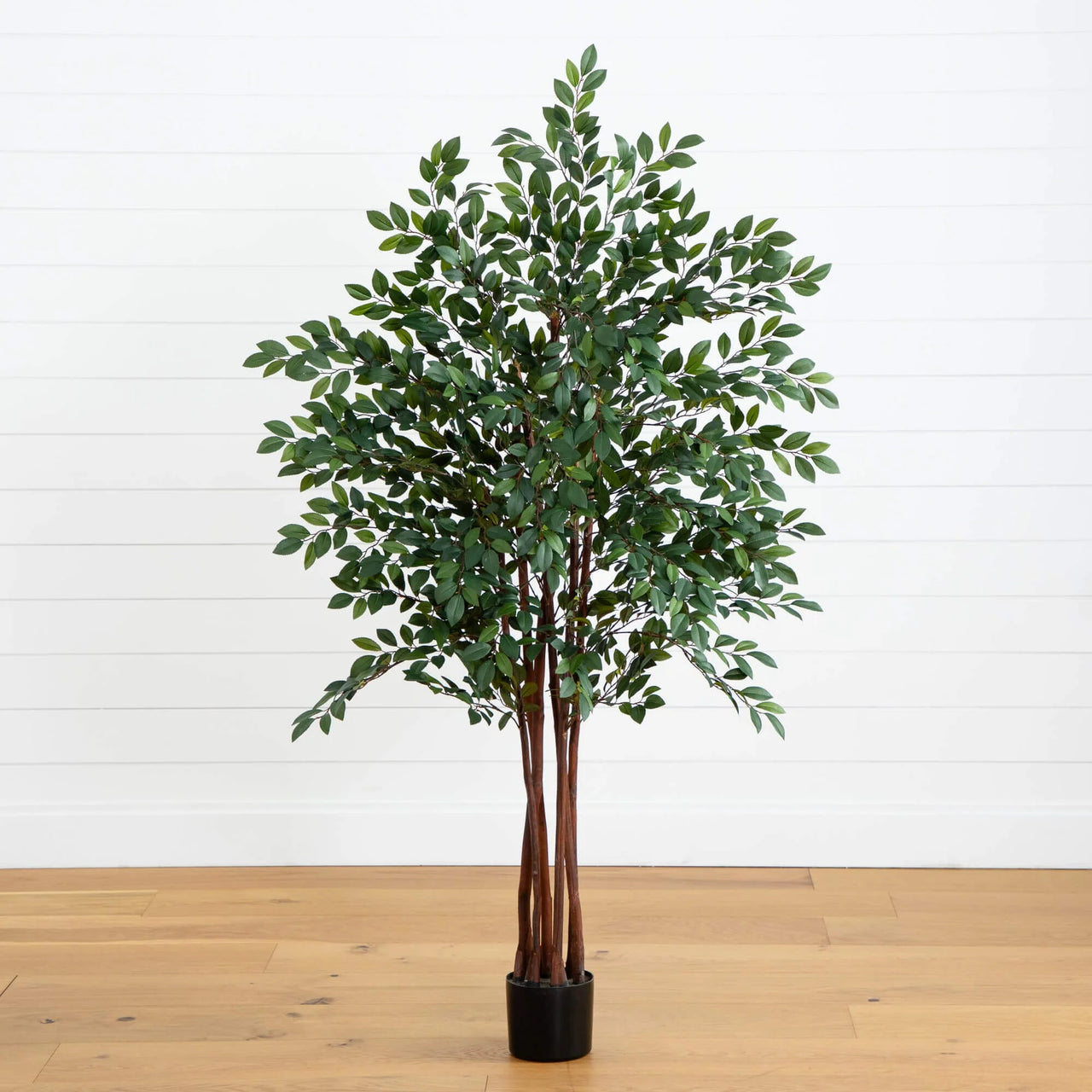 Faux Ruscus Tree
