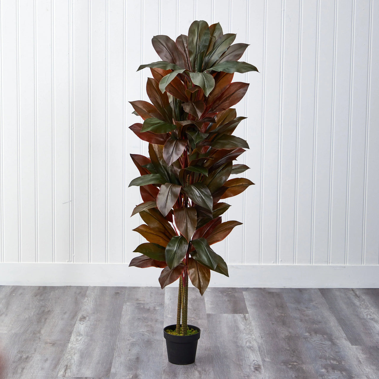 Faux Cordyline Plant
