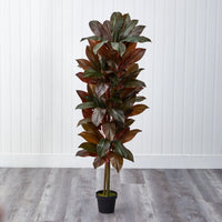Faux Cordyline Plant
