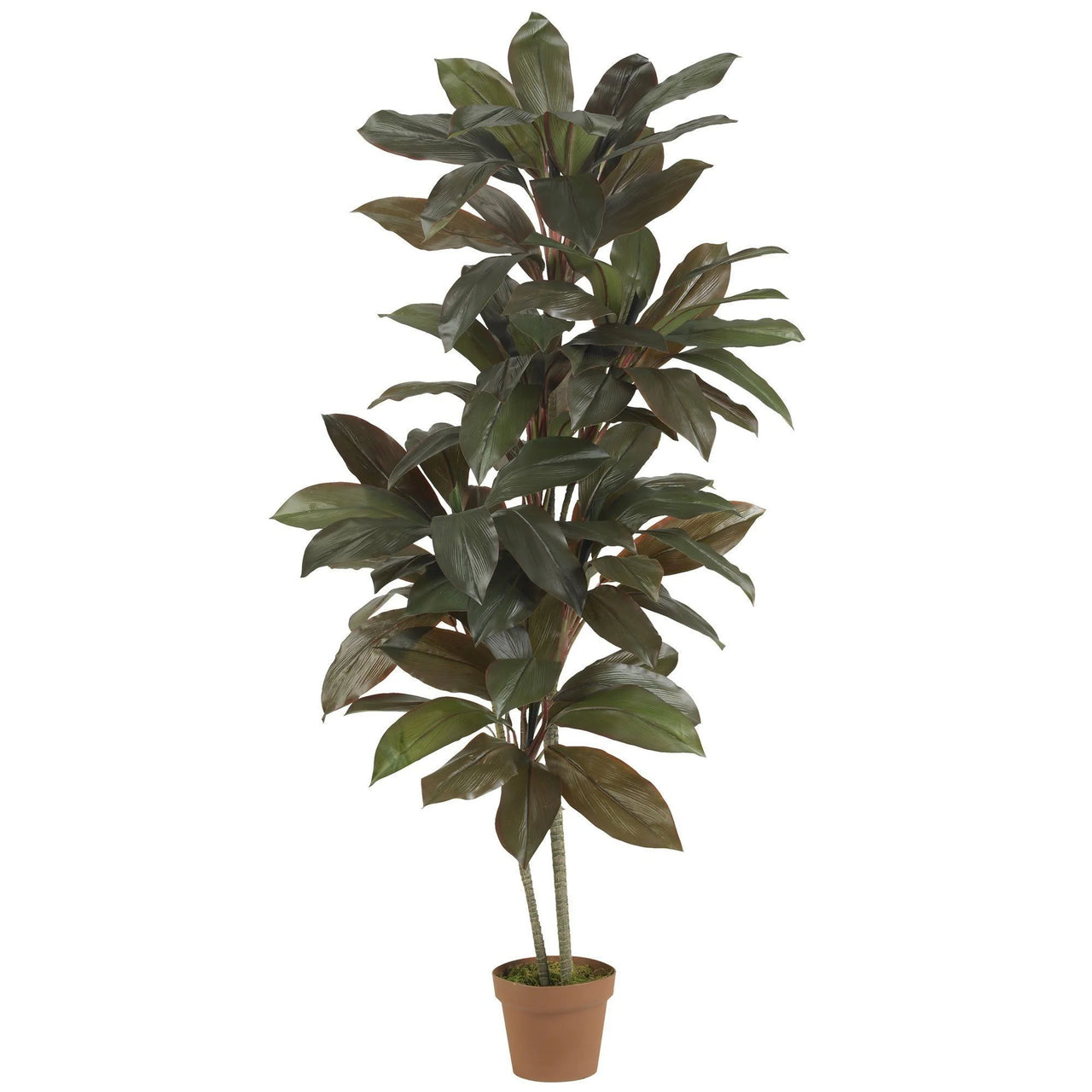 Faux Cordyline Plant