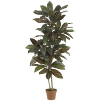 Faux Cordyline Plant