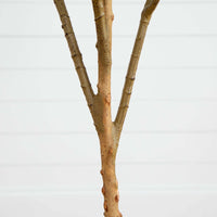 Faux Olive Tree