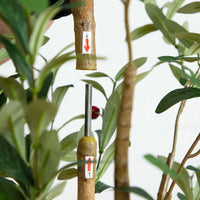 Faux Olive Tree