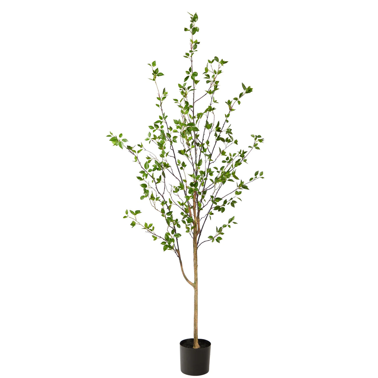 Faux Citrus Tree