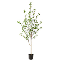 Faux Citrus Tree