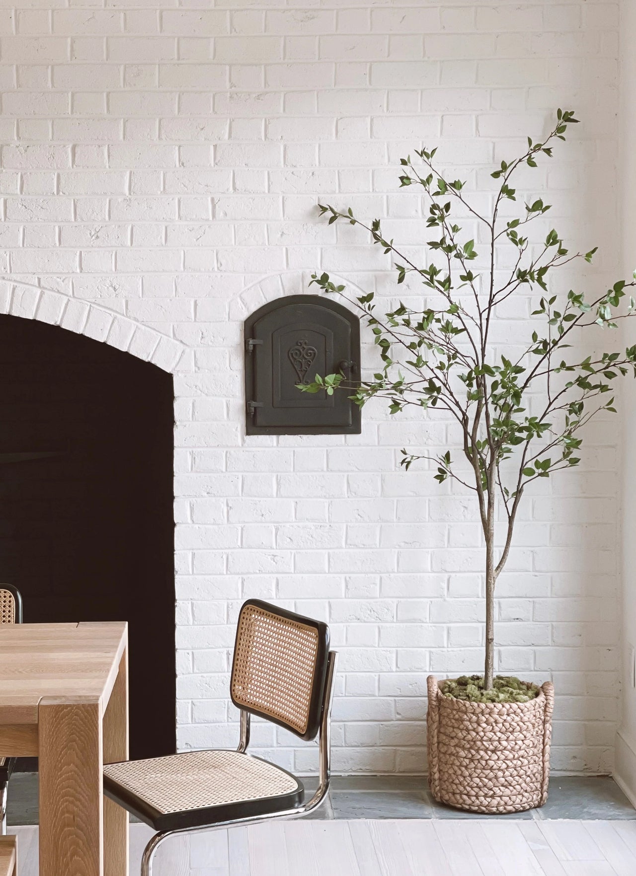 Faux Citrus Tree