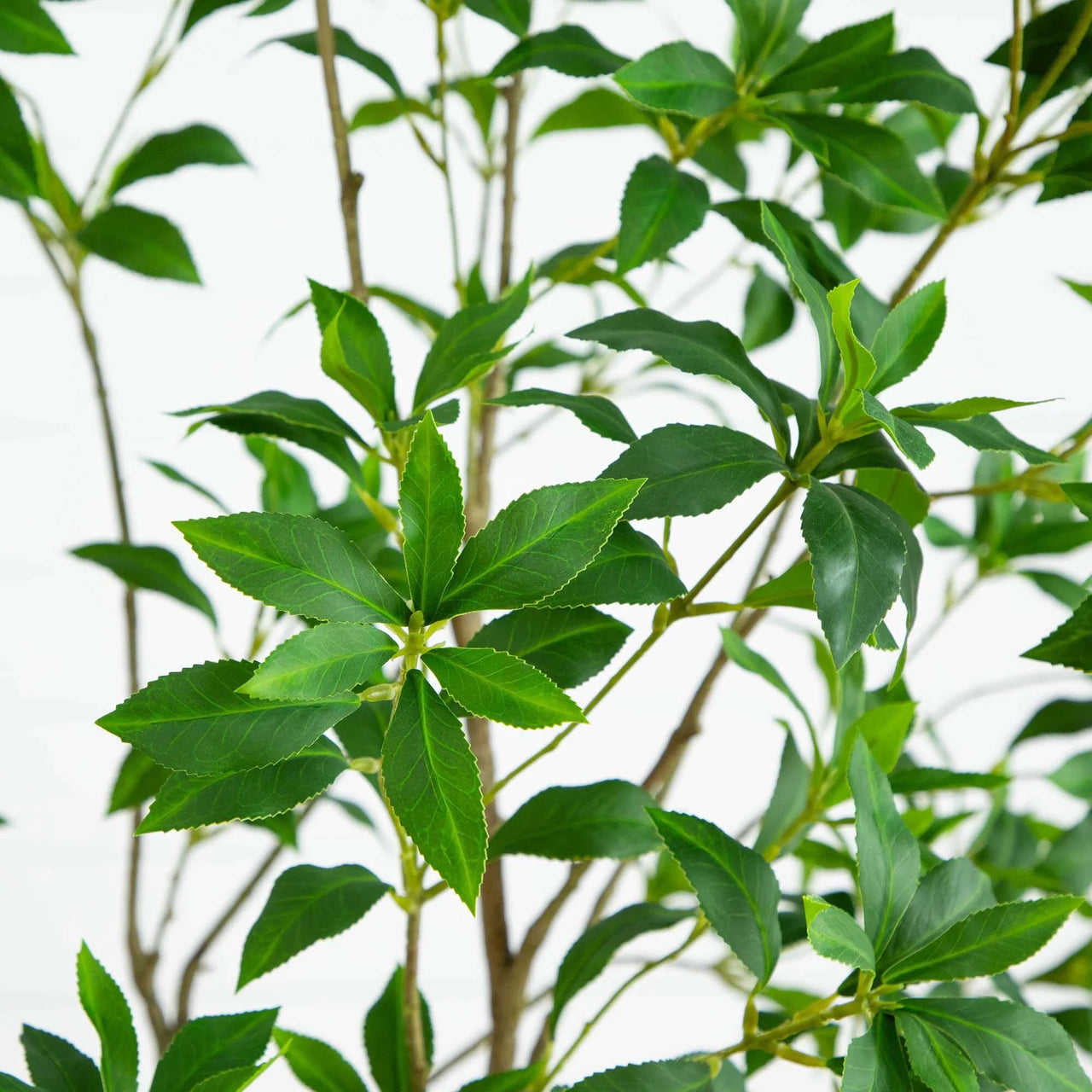 Faux Japanese Pieris Tree