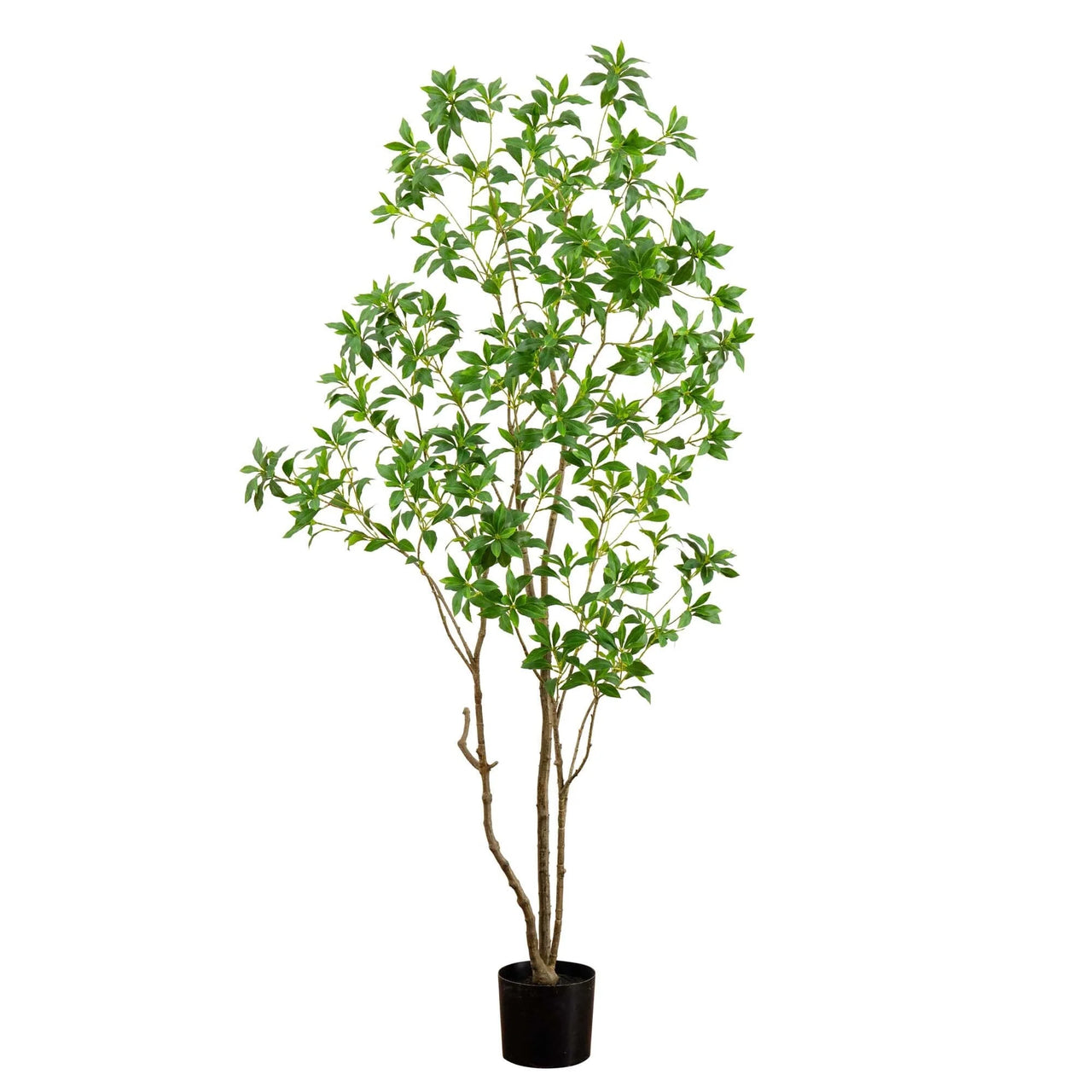 Faux Japanese Pieris Tree