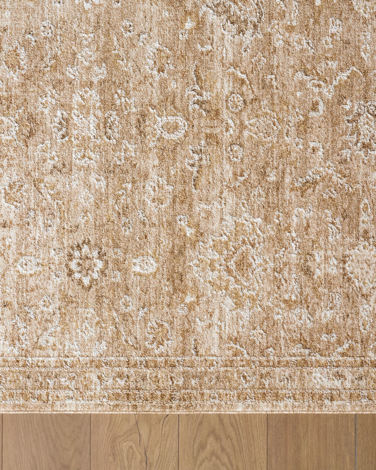 Penny IV Rug